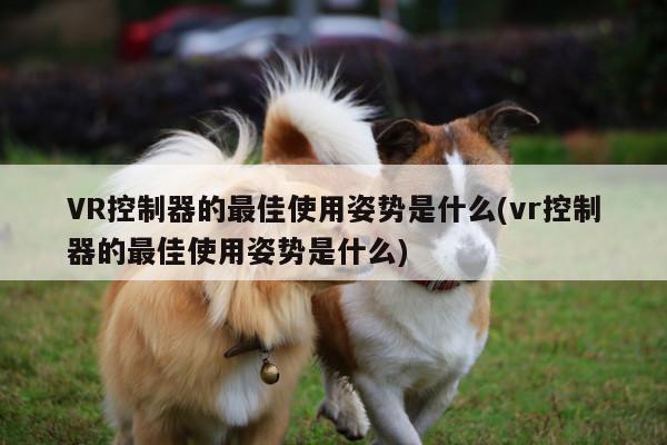 jn江南体育登录入口_VR控制器的最佳使用姿势是什么(vr控制器的最佳使用姿势是什么)