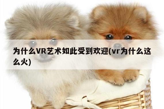 为什么VR艺术如此受到欢迎(vr为什么这么火)【江南体育官网】