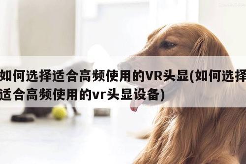 如何选择适合高频使用的VR头显(如何选择适合高频使用的vr头显设备)|江南体育官网