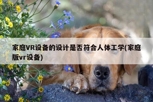 家庭VR设备的设计是否符合人体工学(家庭版vr设备)：jn江南体育登录入口