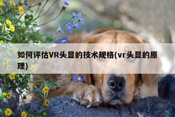 【jn体育】如何评估VR头显的技术规格(vr头显的原理)