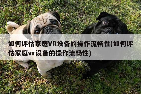 江南体育官网：如何评估家庭VR设备的操作流畅性(如何评估家庭vr设备的操作流畅性)