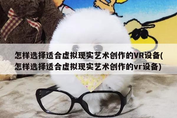 怎样选择适合虚拟现实艺术创作的VR设备(怎样选择适合虚拟现实艺术创作的vr设备)_jn江南体育登录入口