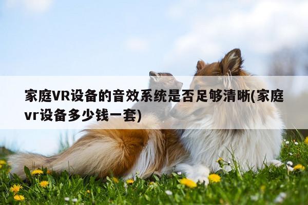 家庭VR设备的音效系统是否足够清晰(家庭vr设备多少钱一套)-jn江南体育登录入口