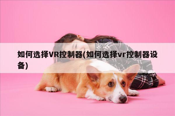 jn江南体育登录入口-如何选择VR控制器(如何选择vr控制器设备)