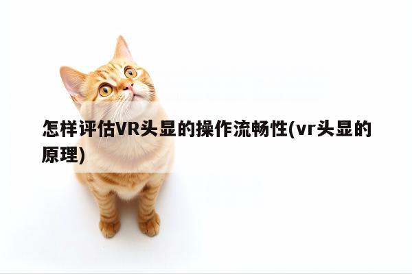 jn江南体育-怎样评估VR头显的操作流畅性(vr头显的原理)