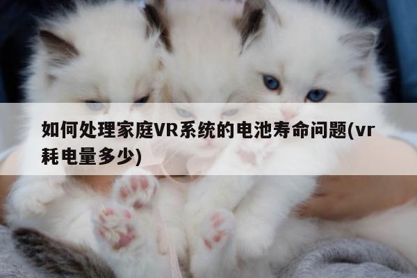 如何处理家庭VR系统的电池寿命问题(vr耗电量多少)：jn江南体育