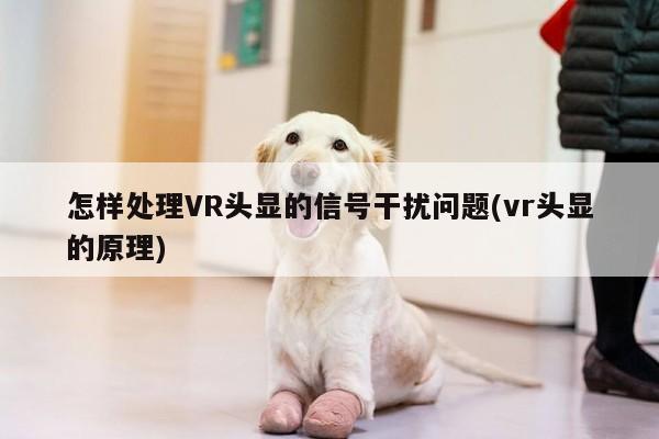 怎样处理VR头显的信号干扰问题(vr头显的原理)：jn江南体育登录入口