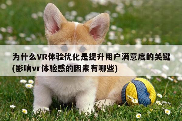 jn体育：为什么VR体验优化是提升用户满意度的关键(影响vr体验感的因素有哪些)