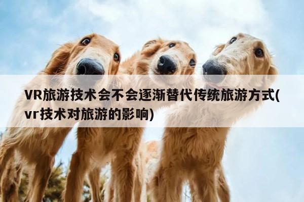 江南体育官网_VR旅游技术会不会逐渐替代传统旅游方式(vr技术对旅游的影响)