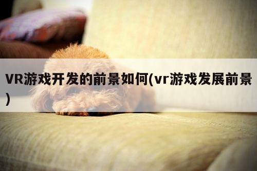 VR游戏开发的前景如何(vr游戏发展前景)【jn江南体育】