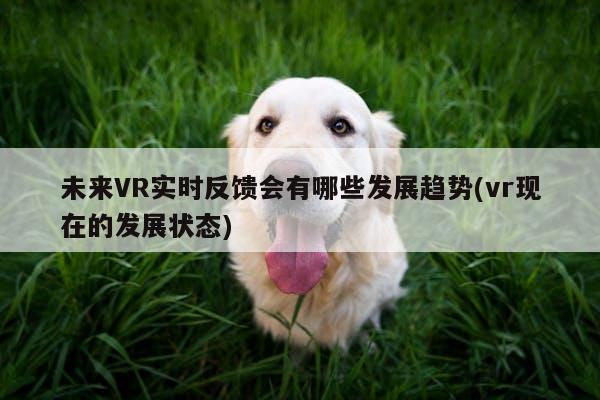 未来VR实时反馈会有哪些发展趋势(vr现在的发展状态)|jn江南体育登录入口