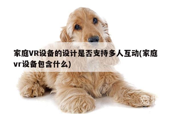 家庭VR设备的设计是否支持多人互动(家庭vr设备包含什么)【江南体育官网】