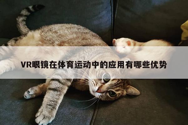 VR眼镜在体育运动中的应用有哪些优势|jn江南体育登录入口