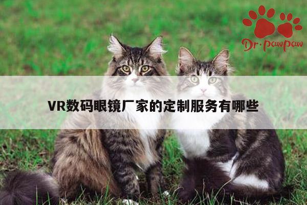 VR数码眼镜厂家的定制服务有哪些|jn体育