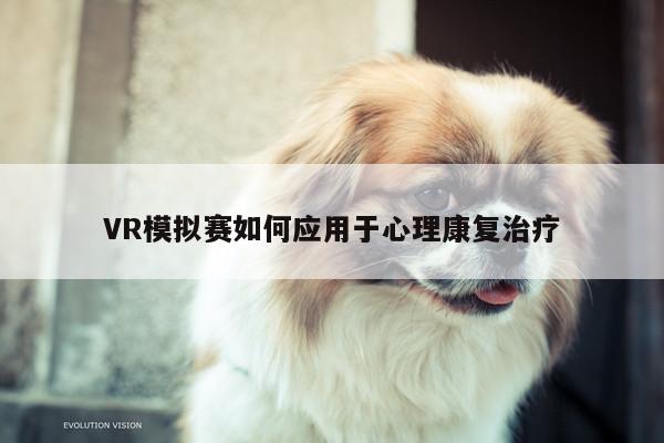 VR模拟赛如何应用于心理康复治疗|jn江南体育登录入口