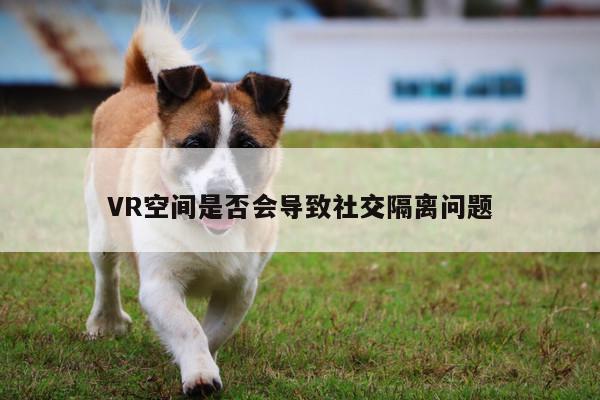 jn江南体育-VR空间是否会导致社交隔离问题