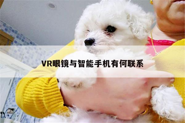 jn江南体育登录入口-VR眼镜与智能手机有何联系