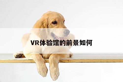 江南体育官网：VR体验馆的前景如何