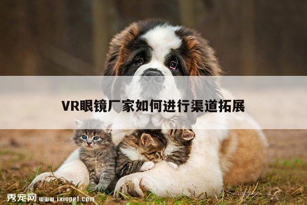 jn江南体育_VR眼镜厂家如何进行渠道拓展