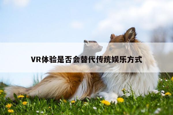 VR体验是否会替代传统娱乐方式-jn体育