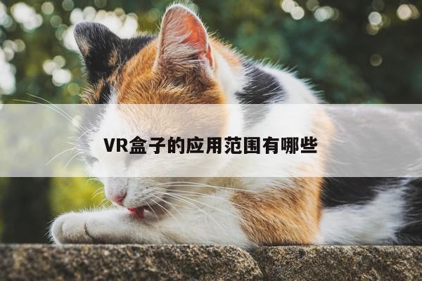 jn体育|VR盒子的应用范围有哪些