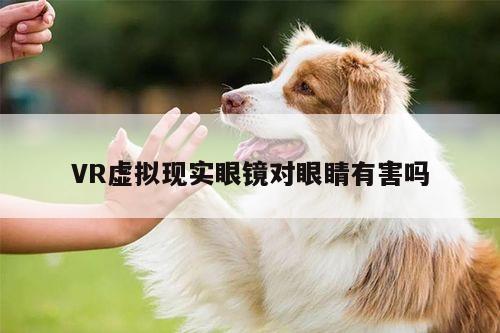 VR虚拟现实眼镜对眼睛有害吗-江南体育官网