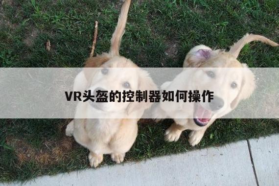 【jn江南体育登录入口】VR头盔的控制器如何操作