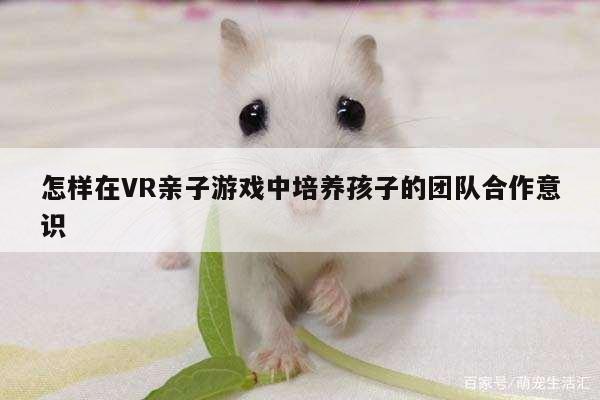 怎样在VR亲子游戏中培养孩子的团队合作意识：jn江南体育登录入口