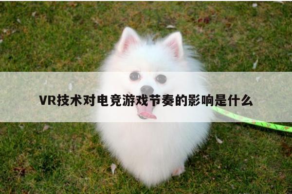 jn江南体育登录入口_VR技术对电竞游戏节奏的影响是什么