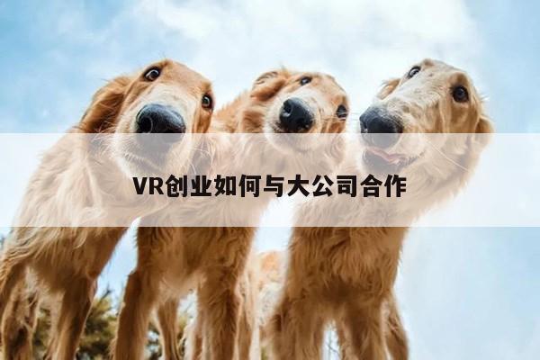 VR创业如何与大公司合作-jn江南体育登录入口