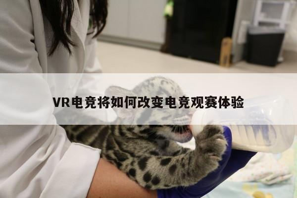 VR电竞将如何改变电竞观赛体验：jn江南体育