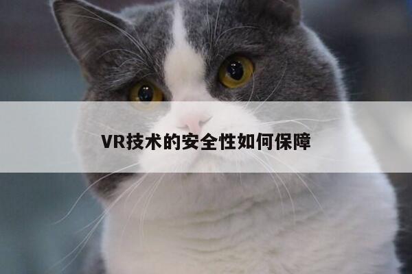 jn体育|VR技术的安全性如何保障